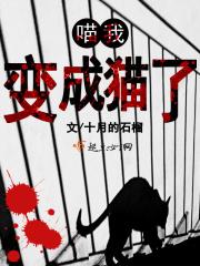 我变成了猫咪作文400字