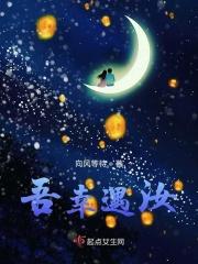 如遇汝之偏爱