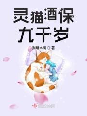 灵猫集团