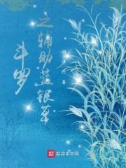 斗罗之辅助升级系统百度百科