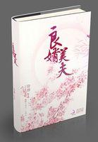 良婿美夫讲的什么 良婿美夫讲的什么