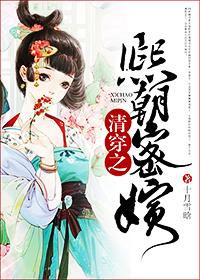 清穿之康熙昭妃 清穿之康熙昭妃