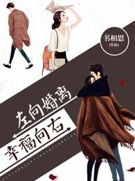 离婚向左幸福向右免费阅读