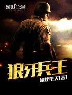 狼牙兵王江一凡1~300集