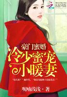 豪门冷少的夜宠